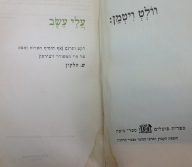 קובץ:IMG 1432.jpg