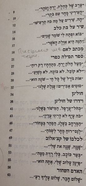 קובץ:IMG 2829.jpg