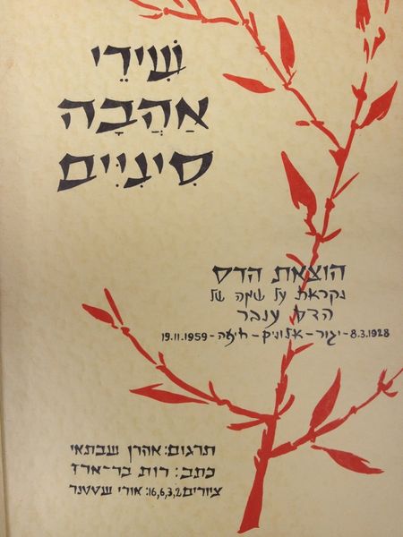 קובץ:IMG 2316.jpg