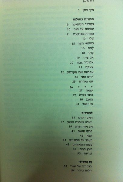 קובץ:Nesnachsholi4.jpg