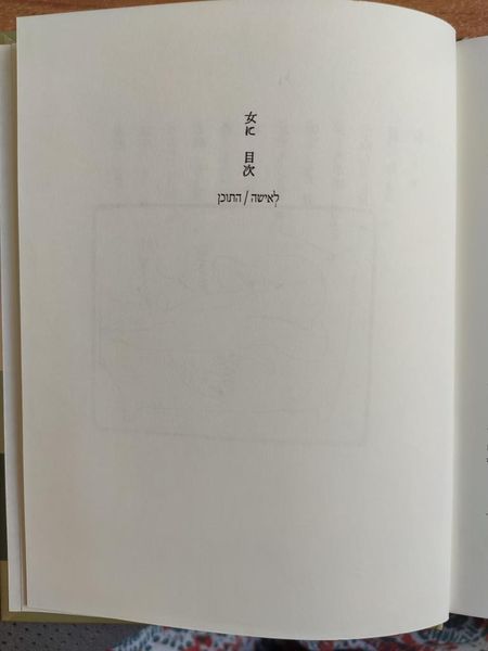 קובץ:Leisha t0.jpg